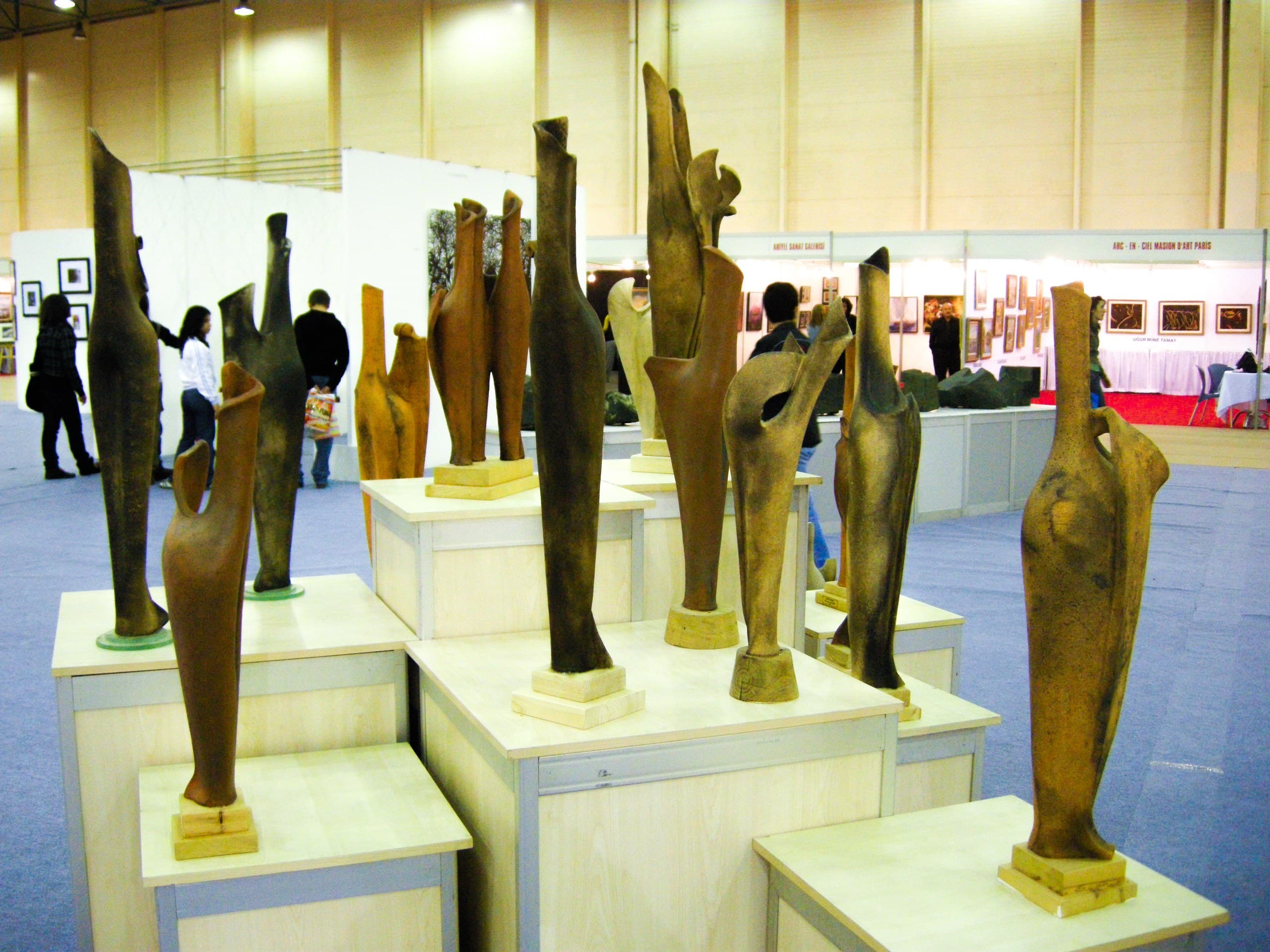 Sınırsız Sergisi — Artist 2008 İstanbul Sanat Fuarı, İstanbul, 2008